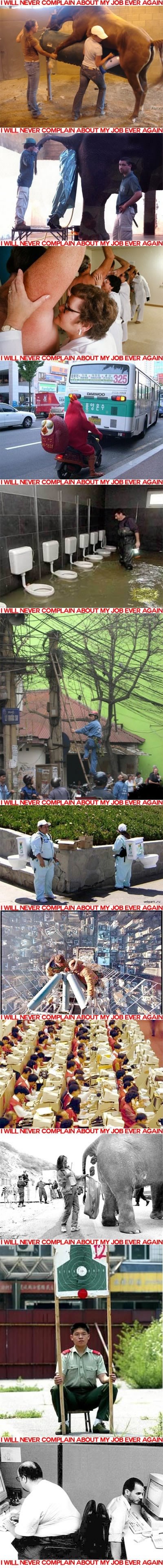 Više se nikad nikad ikad nećeš žaliti na svoj posao