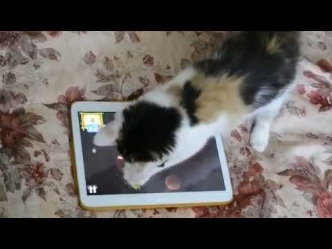 VIDEO: Gameri imate konkurenciju - najslađa gamerica ne odustaje samo tako