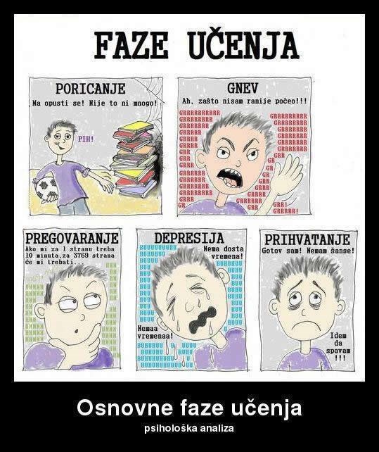 Faze učenja studenta "kampanjca"