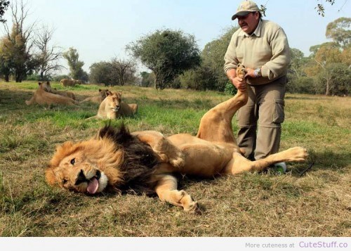 Probaj ovo bez da umreš mlad