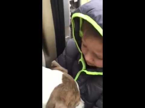 Suze radosnice dječačića koji je konačno pronašao svog izgubljenog psa