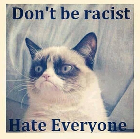 Mrzovoljni mačak u borbi protiv rasizma