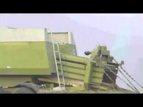 VIDEO: Goli lik se bacio u balirku, smotalo ga, umro od smijeha