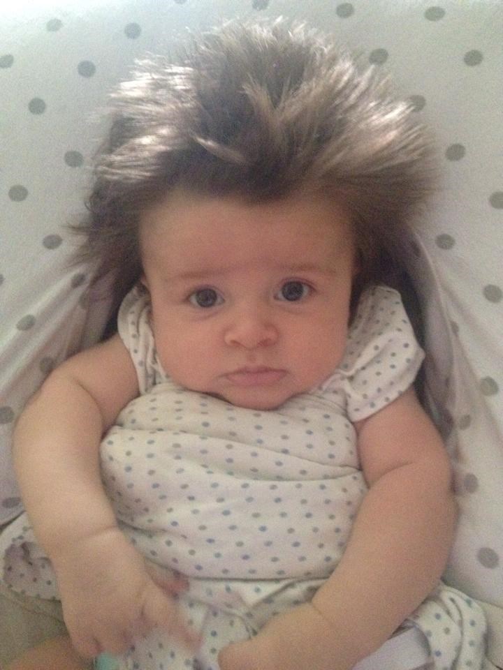 Macho beba zaludila cijelo susjedstvo