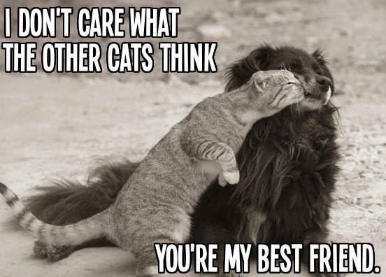 Kad je prijateljstvo pravo, ništa mu ne može stati na put