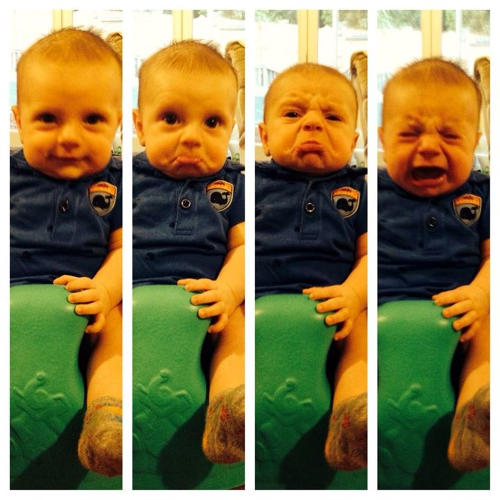 Evolucija cmizdrenja