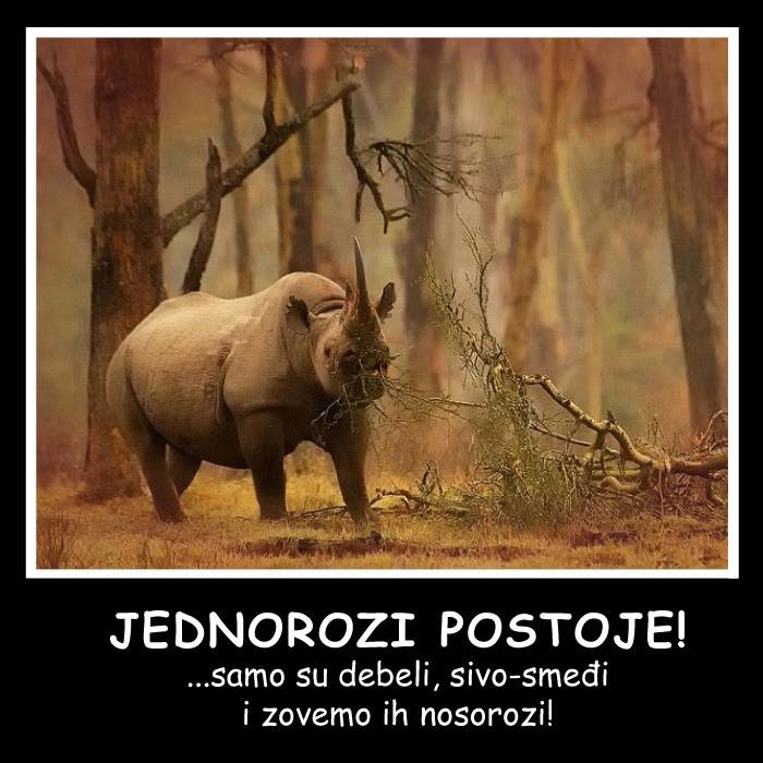 Jednorozi stvarno postoje