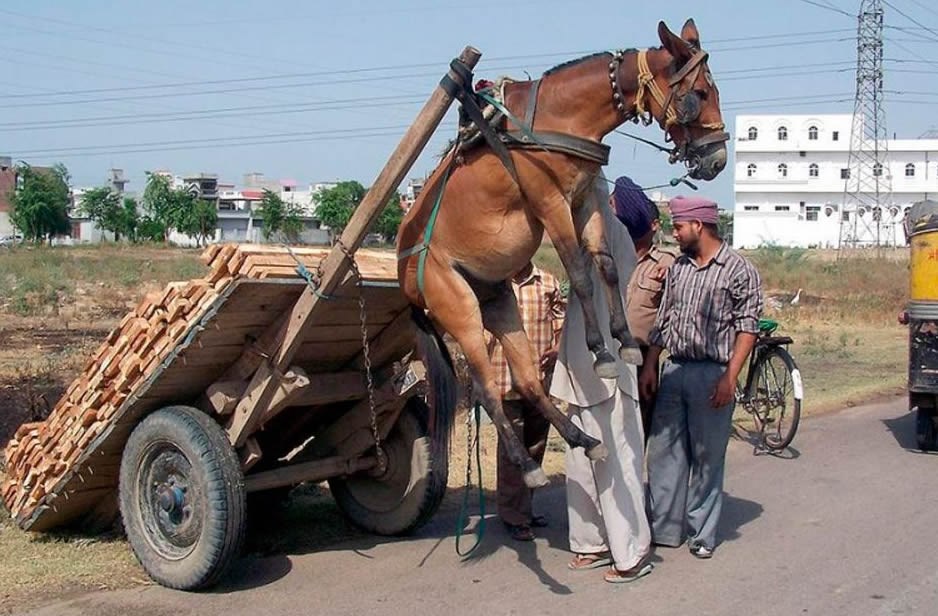 Fizikalni zakoni maltretiraju sirotinju