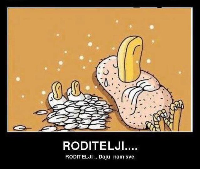 Starci te živciraju? Sjeti se što su ti sve u životu dali