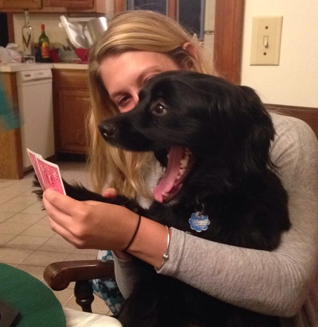 Najbolji pseći "poker face" ikad