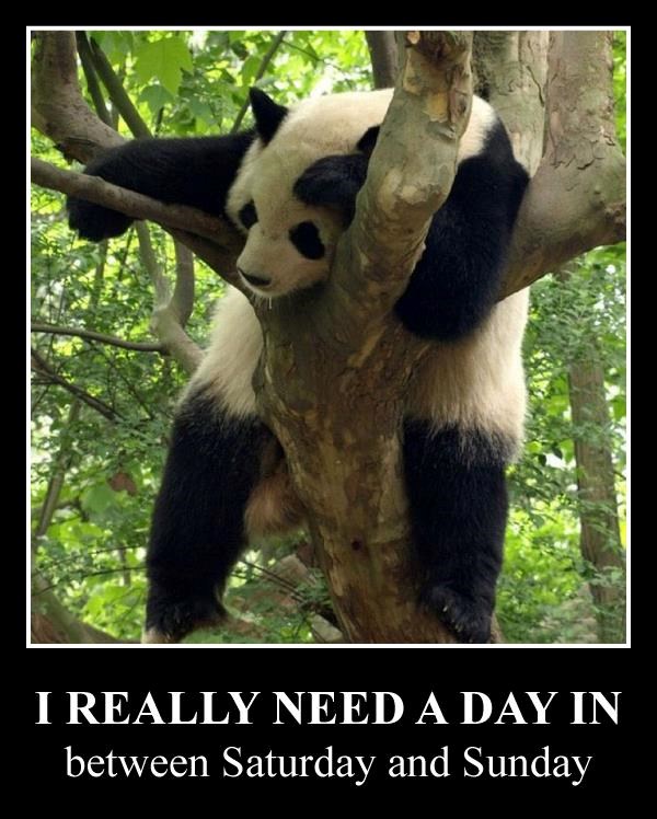 Hitno mi treba dan između subote i nedjelje