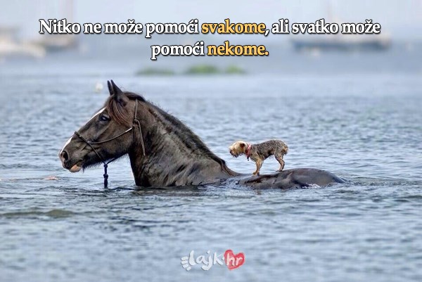 To što nisi svemoćan nije isprika za ne pomoći