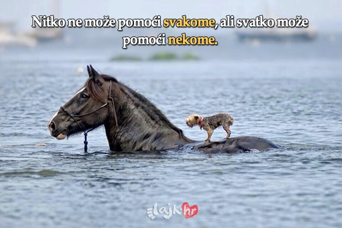 To što nisi svemoćan nije isprika za ne pomoći
