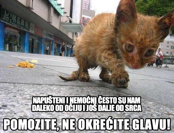 Ne okreći glavu jer je tužno, poduzmi nešto i pomozi