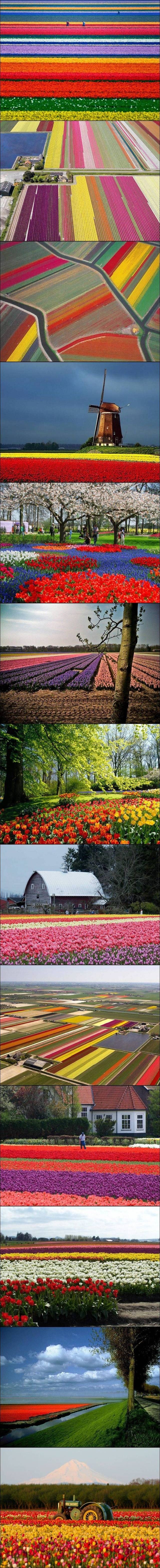 priroda je očaravajuća..