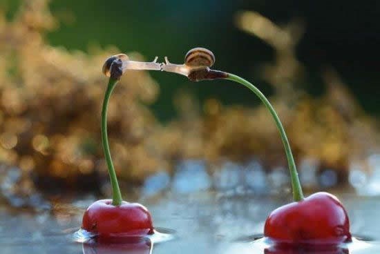 Ljubavi ništa ne staje na put