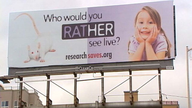 Testiranja na životinjama: Jedini izbor ili okrutnost?