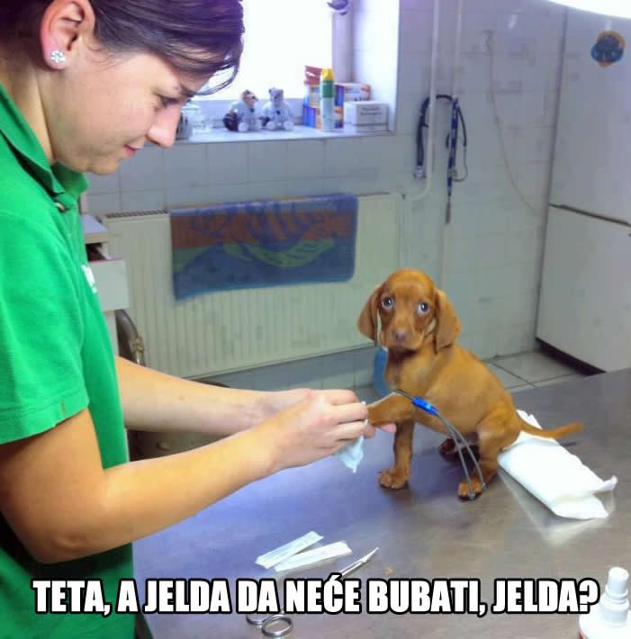 Uplašeni "pesek" hrabro podnosi "pikicu"