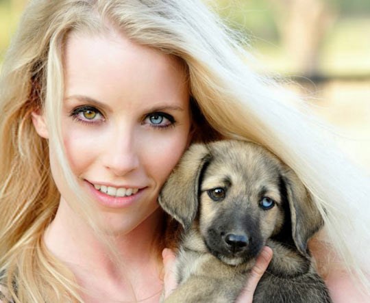 Prekrasna heterokromija stvorila novo prijateljstvo