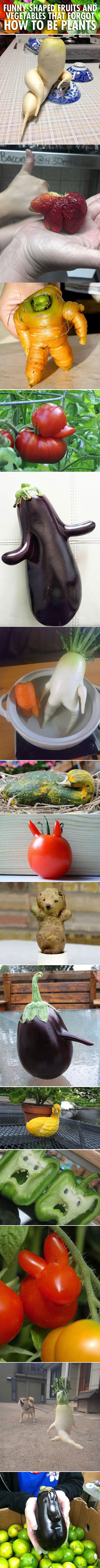 Galerija: Voće i povrće s poremećajem identiteta