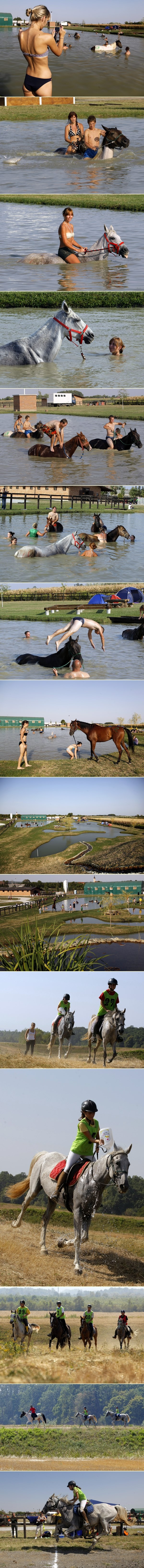 I konji se osvježili od vrućina kupanjem