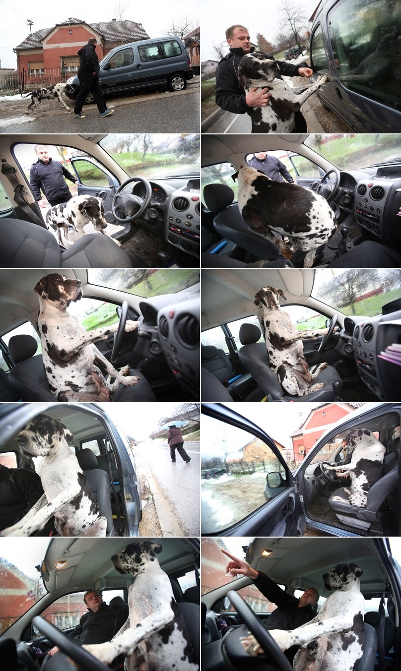 I Slavonija ima svog psa na četiri kotača