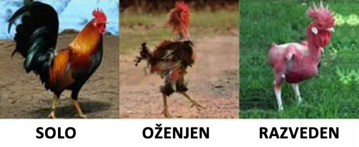 "Bivša me očerupala do gole kože" dobilo novo značenje