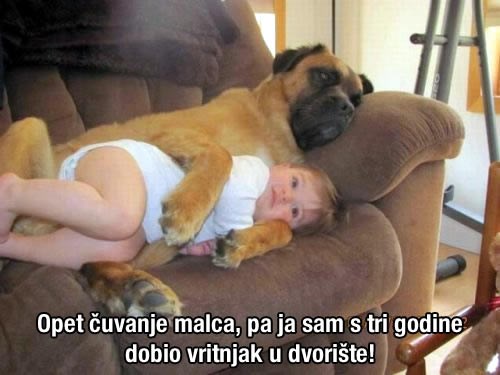 Pas dadilja nije oduševljen: Pogled govori sve