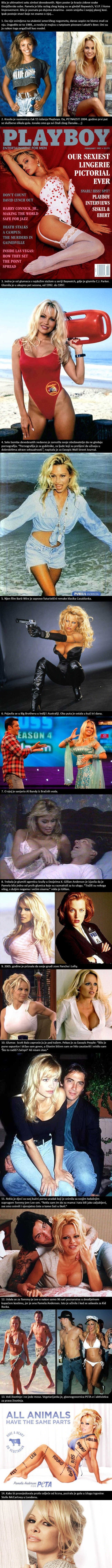 14 vrućih činjenica koje niste znali o Pameli Anderson