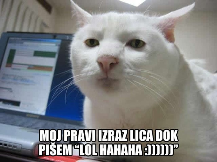 Na netu se valjamo od smijeha, a iza monitora čemer i jad