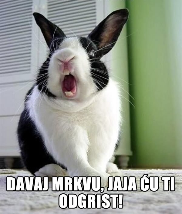 Nasilnički zec prijeti gazdi zbog manjka vitamina