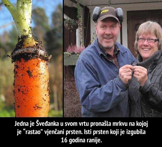 Šveđanka našla vjenčani prsten na mrkvi