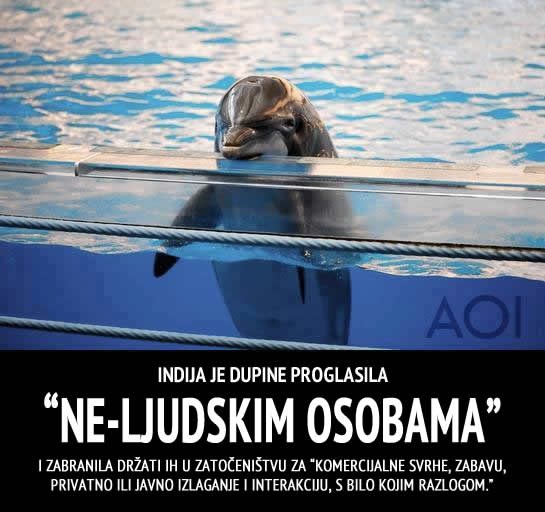 Dupini u Indiji proglašeni osobama!