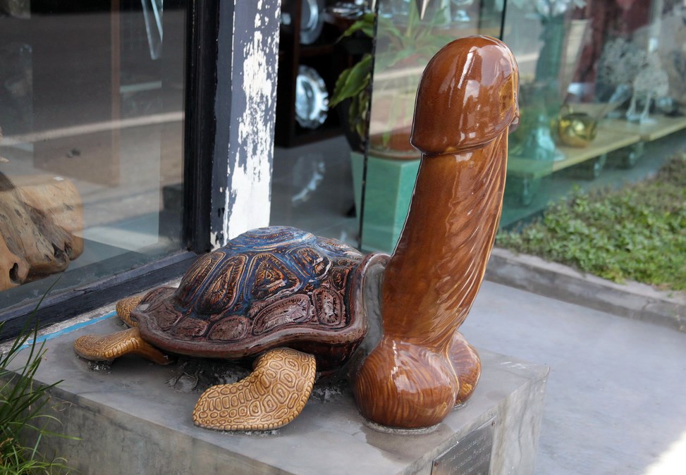 Penis-kornjača novo postignuće umjetnosti