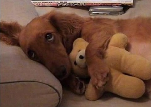 Ali ja još ne bi na spavanje, još samo malo!