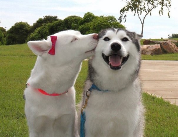 Najljepši zaljubljeni par proslavio godišnjicu