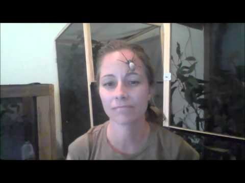 VIDEO: Posijedit ćete od muke - grli svog ljubimca, a i on nju sa svih osam nogu!