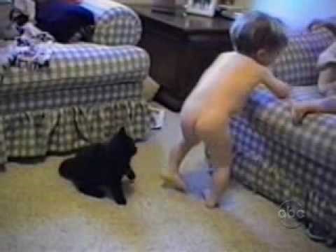 Mačka napala dijete, pa na tučnjavu izazvala kokoš!