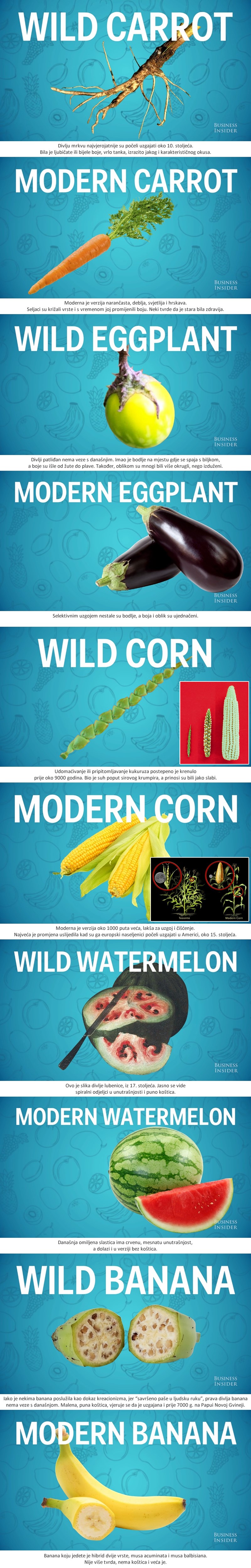 UPOZNAJTE PRETKE današnjeg voća i povrća, koje je čovjek izmijenio do neprepoznatljivosti