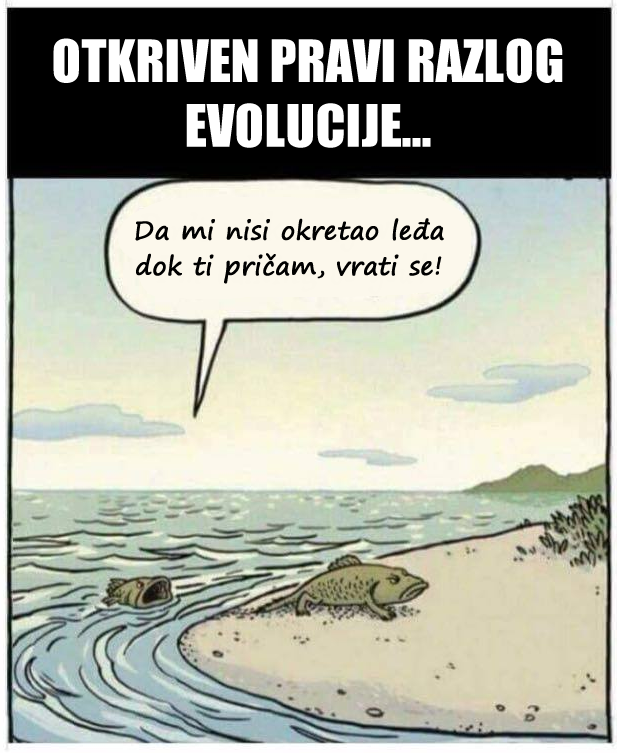 Otkriven pravi razlog evolucije, nije što mislite!