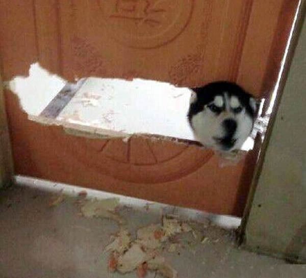 Pitao sam jel vi to nešta JEDETE!?