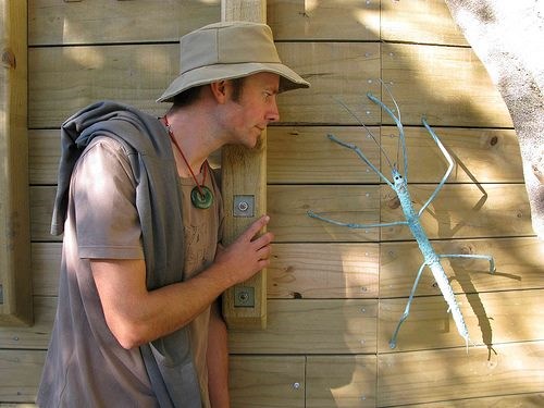 Pozdrav, maleni prijatelju, molim te nemoj me pojesti cijelog!