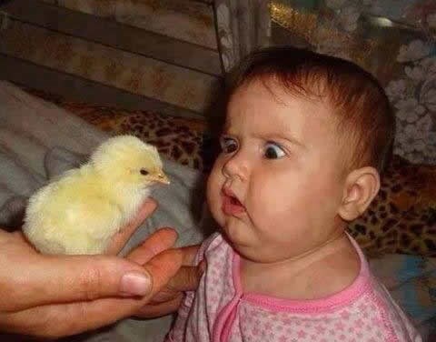 Ali..ovo nije iPhone, HOĆU IPHONE!