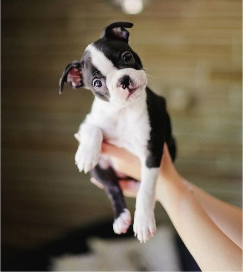 Jesi ti moja nova mama?