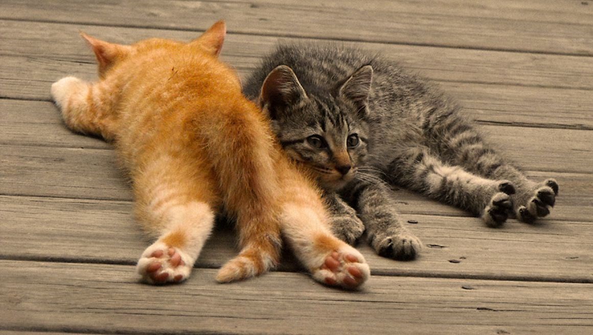 Odlučile spojiti četvrtak s vikendom