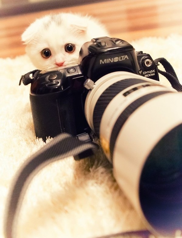 Ajme mene, skinula se skroz!