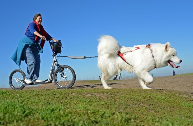 Rikavam od muke! Ti debela ne bi koji korak sama napravila?