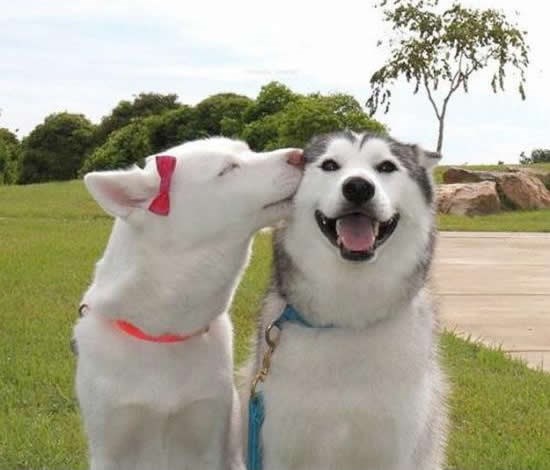 Poljubac je sreća, a sreću svatko osjeća