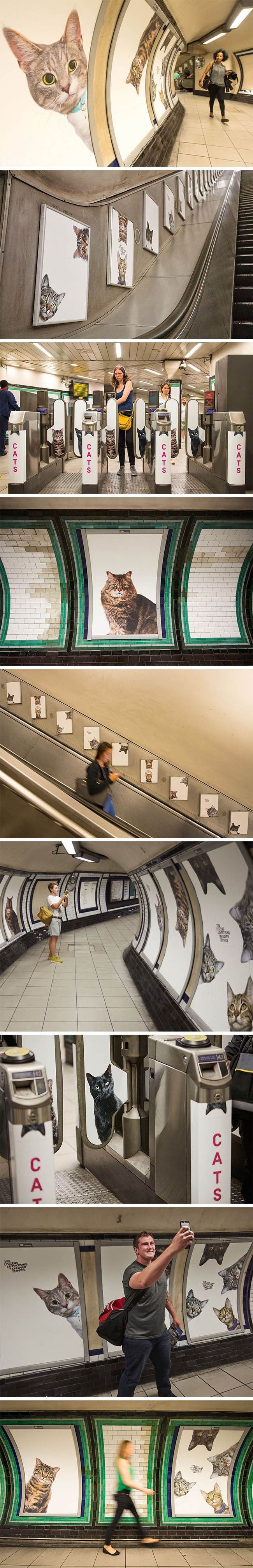 GALERIJA: Umjesto dosadnih reklama, pojavile su se slike mačaka koje su oduševile građane
