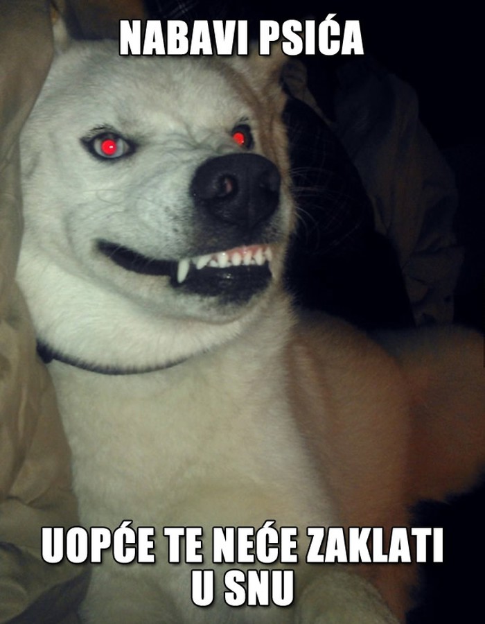 Nema bolje od psa koji te ne želi ubiti